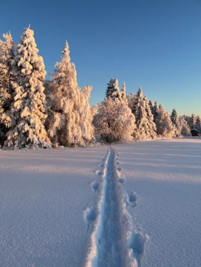 Villa Metsälä, Kuusamo